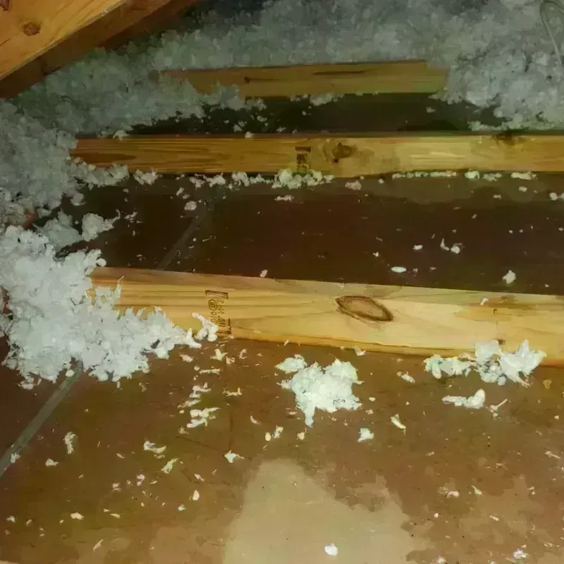 Attic Water Damage in Loganville, GA