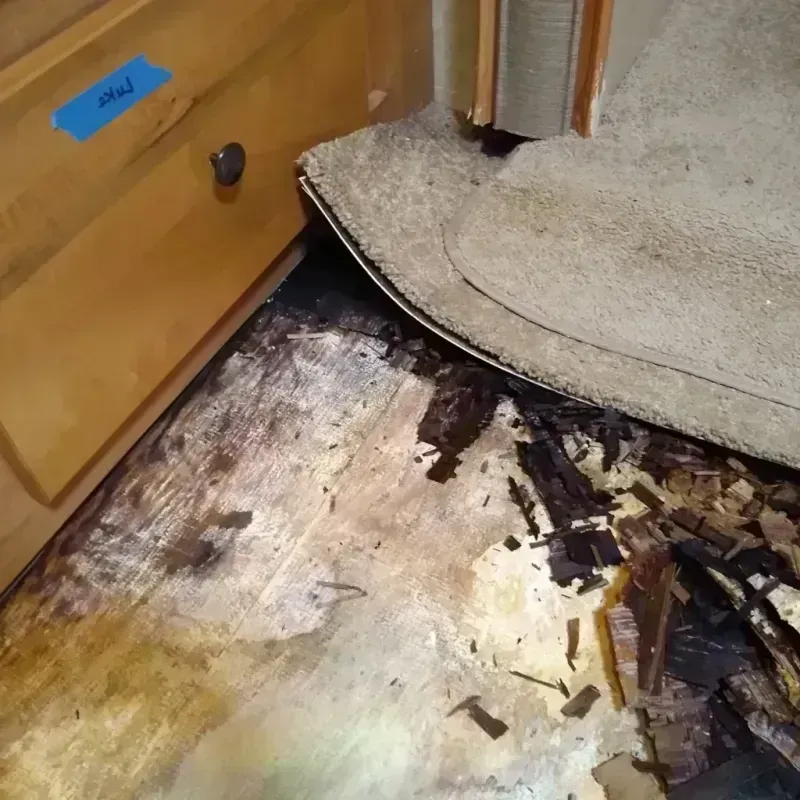 Wood Floor Water Damage in Loganville, GA